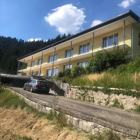 Whirlpool, Billiard, Sauna! Lacher Holiday home Baiersbronn